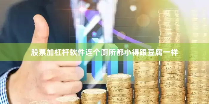 股票加杠杆软件连个厕所都小得跟豆腐一样
